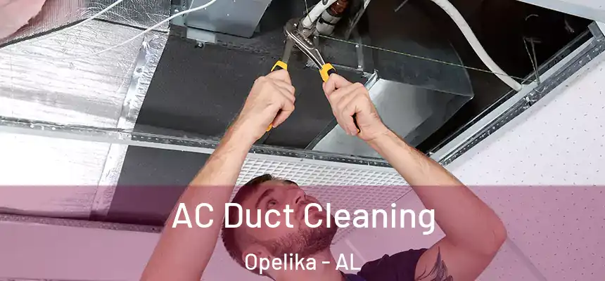  AC Duct Cleaning Opelika - AL