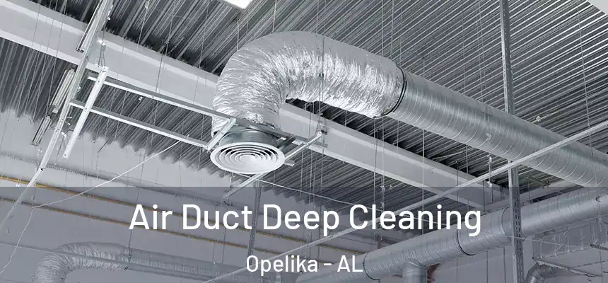  Air Duct Deep Cleaning Opelika - AL