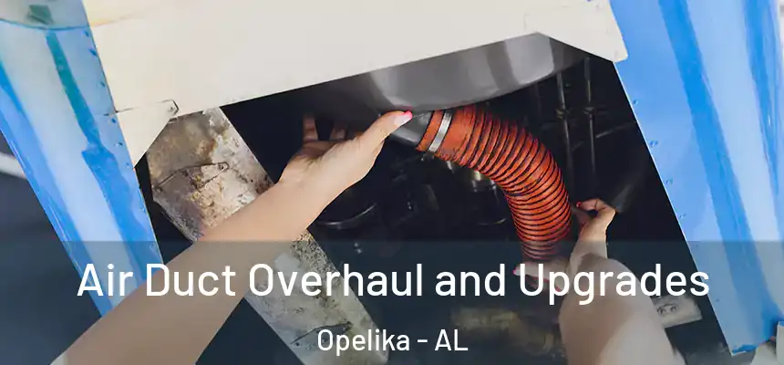  Air Duct Overhaul and Upgrades Opelika - AL