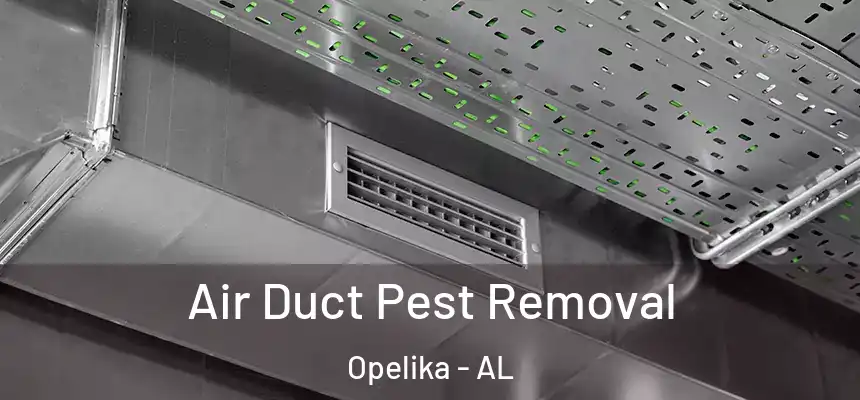  Air Duct Pest Removal Opelika - AL
