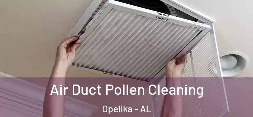 Air Duct Pollen Cleaning Opelika - AL