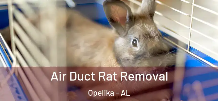  Air Duct Rat Removal Opelika - AL