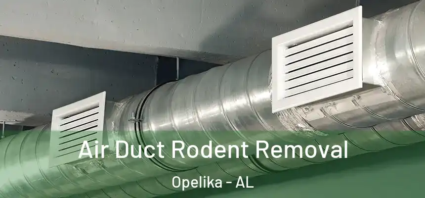 Air Duct Rodent Removal Opelika - AL