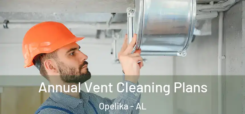  Annual Vent Cleaning Plans Opelika - AL