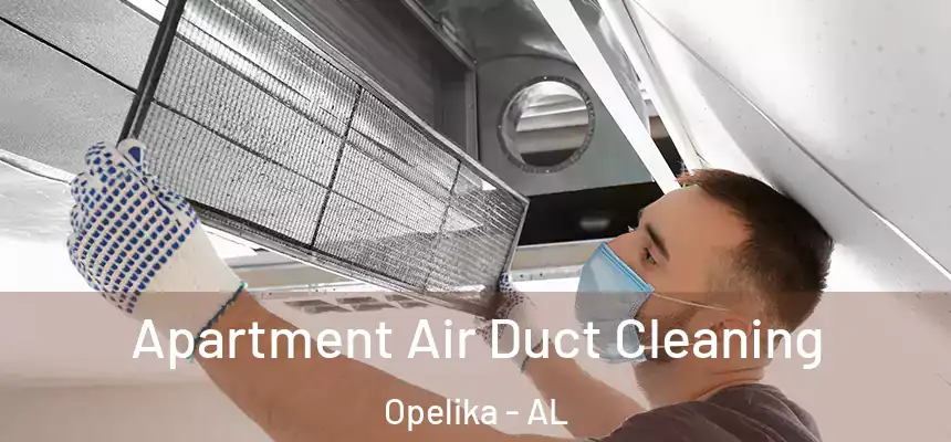 Apartment Air Duct Cleaning Opelika - AL