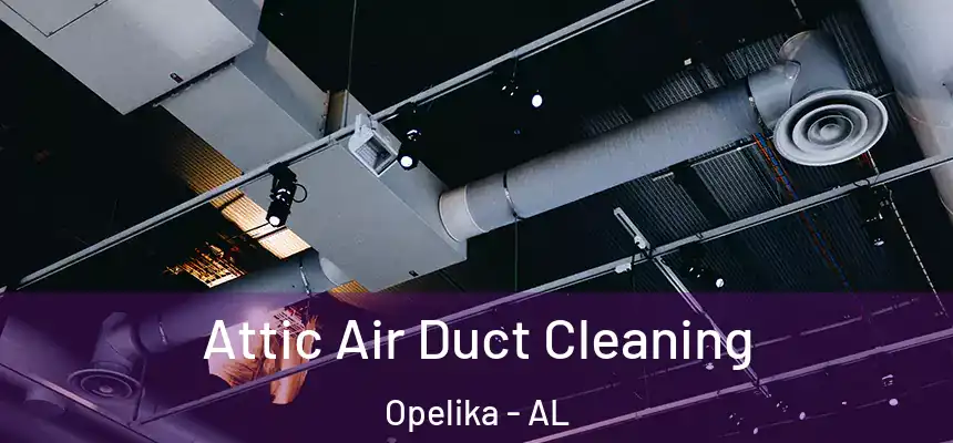  Attic Air Duct Cleaning Opelika - AL