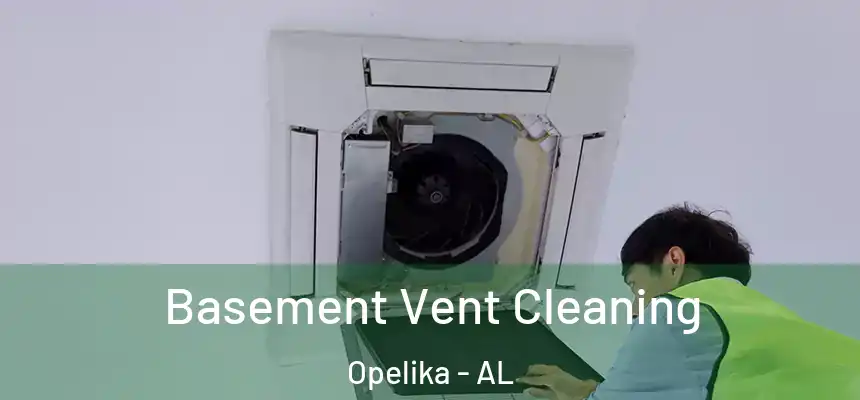 Basement Vent Cleaning Opelika - AL