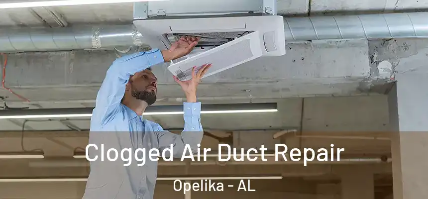 Clogged Air Duct Repair Opelika - AL