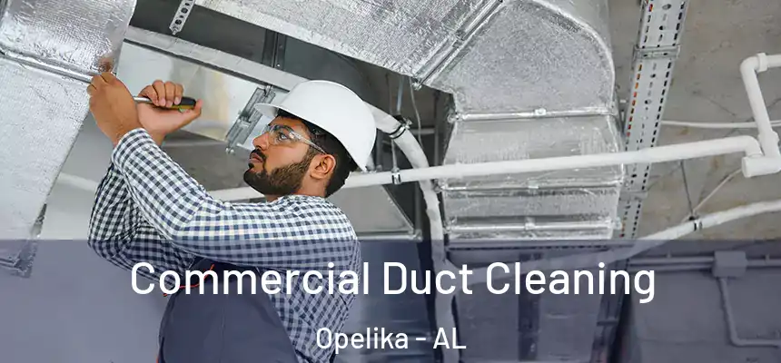 Commercial Duct Cleaning Opelika - AL