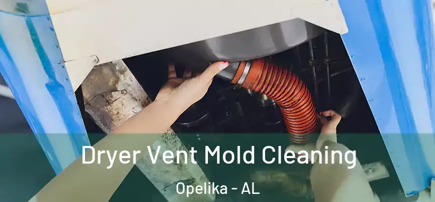 Dryer Vent Mold Cleaning Opelika - AL