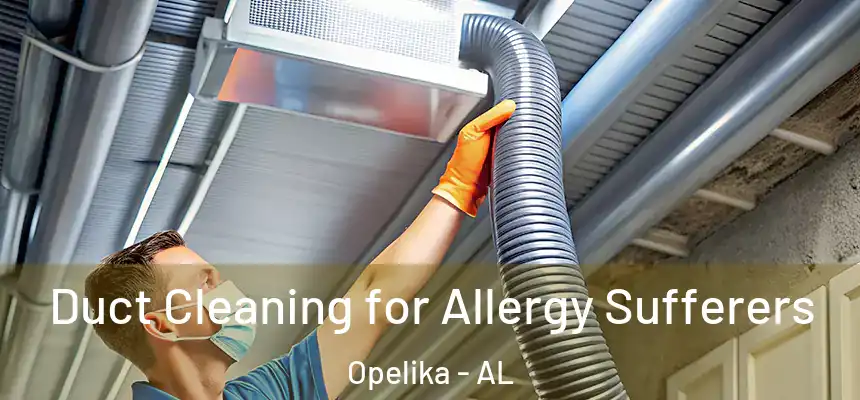  Duct Cleaning for Allergy Sufferers Opelika - AL
