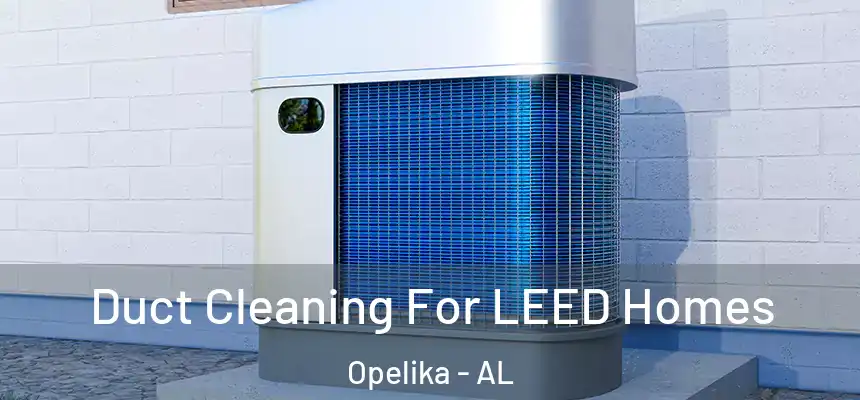  Duct Cleaning For LEED Homes Opelika - AL