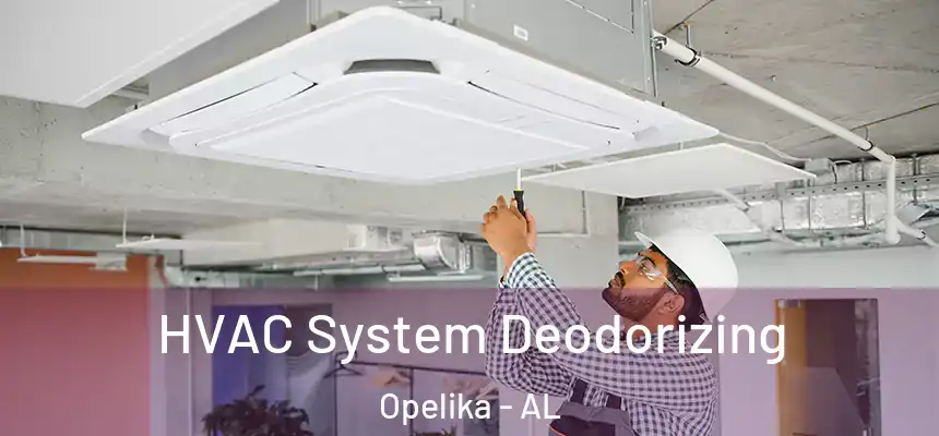 HVAC System Deodorizing Opelika - AL