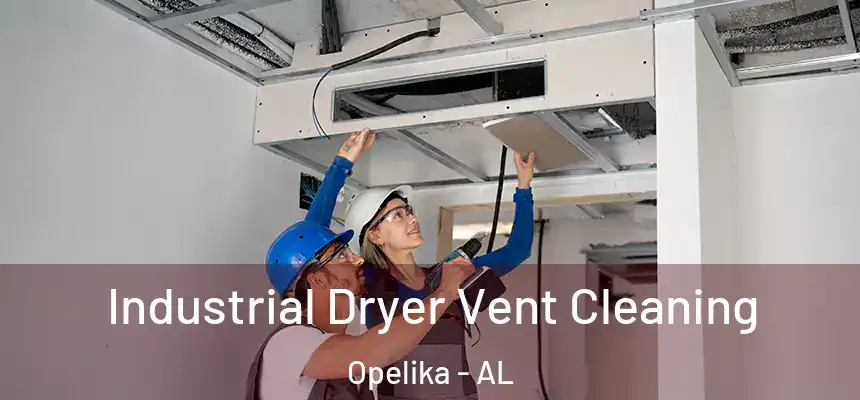  Industrial Dryer Vent Cleaning Opelika - AL