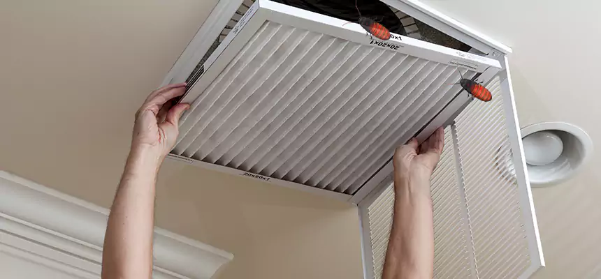 Preventive Cockroach-Proofing for Ducts in Opelika