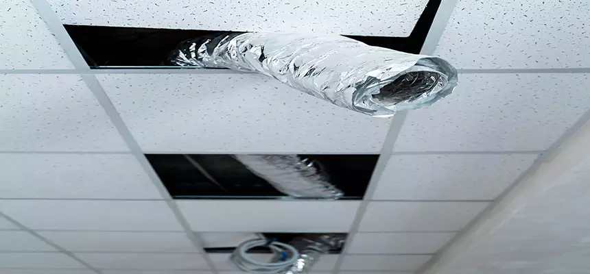 Affordable HVAC Sanitizing After Pest Removal in Opelika