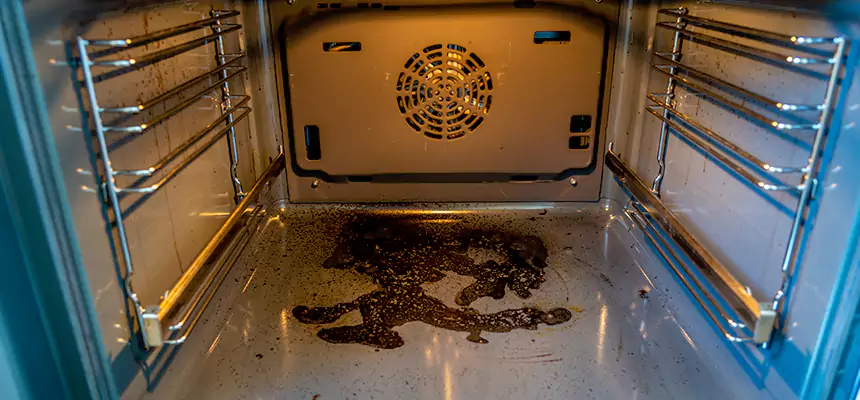 Our Dryer Vent Mold Cleaning Services in Opelika, AL