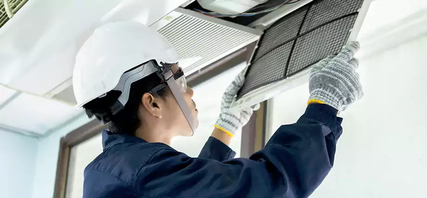 Our Mold & Mildew Removal from Air Ducts Services in Opelika, AL