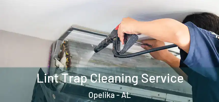  Lint Trap Cleaning Service Opelika - AL
