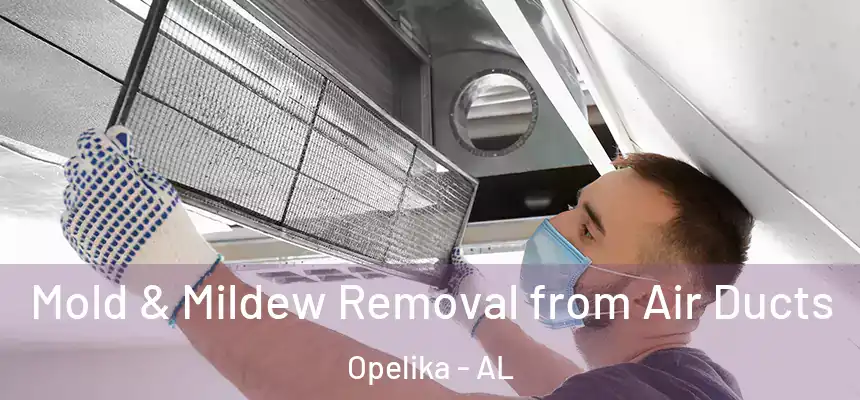  Mold & Mildew Removal from Air Ducts Opelika - AL