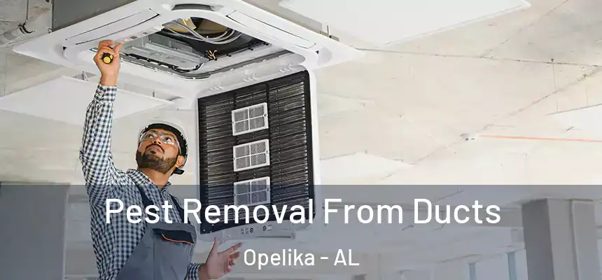  Pest Removal From Ducts Opelika - AL