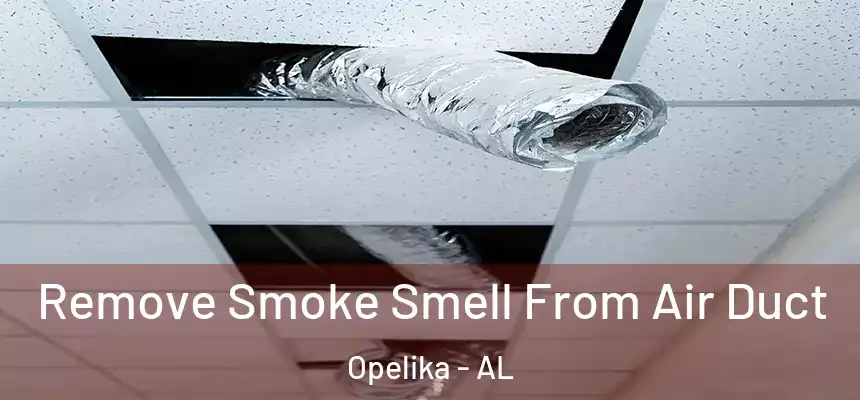 Remove Smoke Smell From Air Duct Opelika - AL