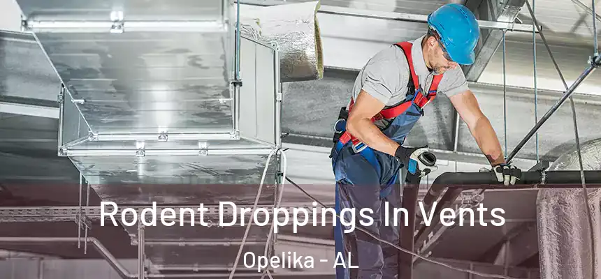 Rodent Droppings In Vents Opelika - AL
