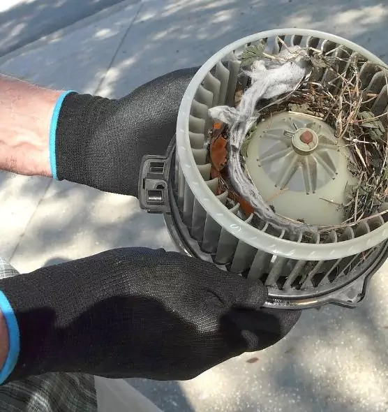 About Air Duct Mice Removal in Opelika, AL