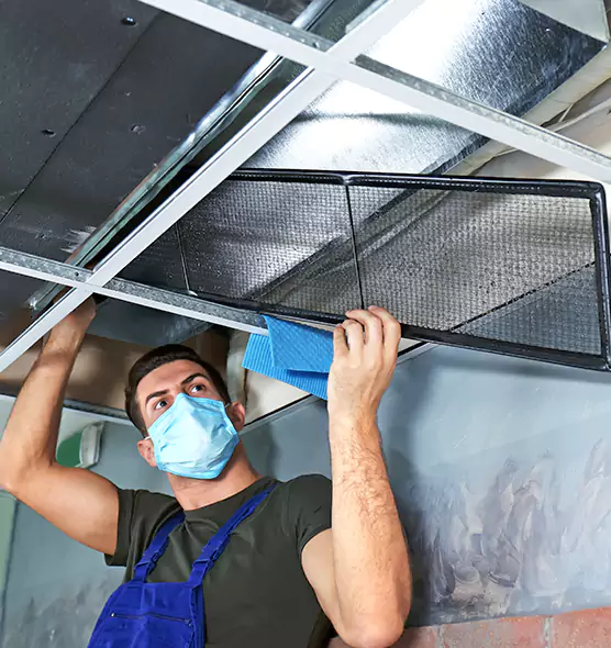 Professional Air Duct Pollen Cleaning in Opelika, AL