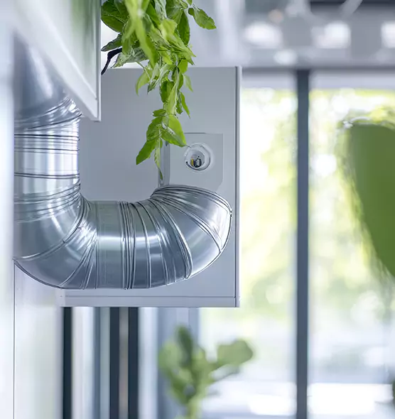 Professional Eco-Friendly Duct Cleaning Services in Opelika, AL