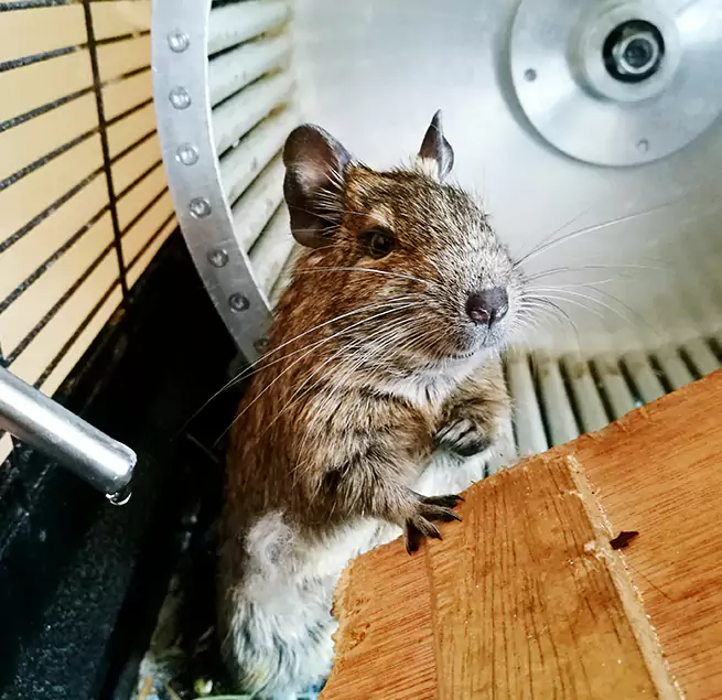 Why Homeowners & Businesses Trust Us Opelika, AL