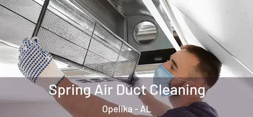  Spring Air Duct Cleaning Opelika - AL