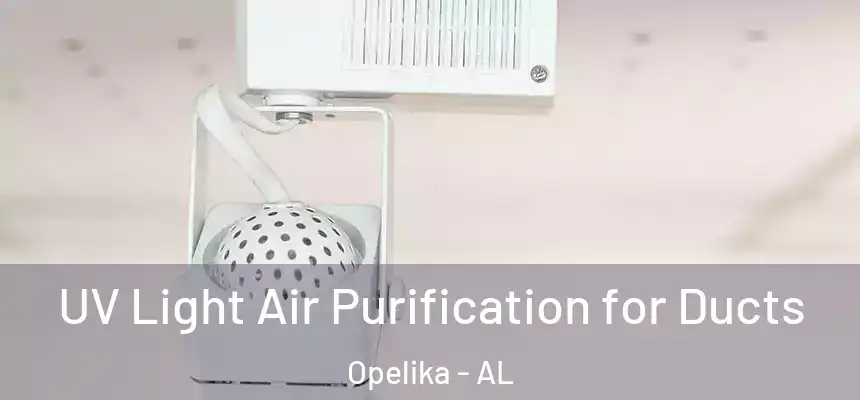  UV Light Air Purification for Ducts Opelika - AL