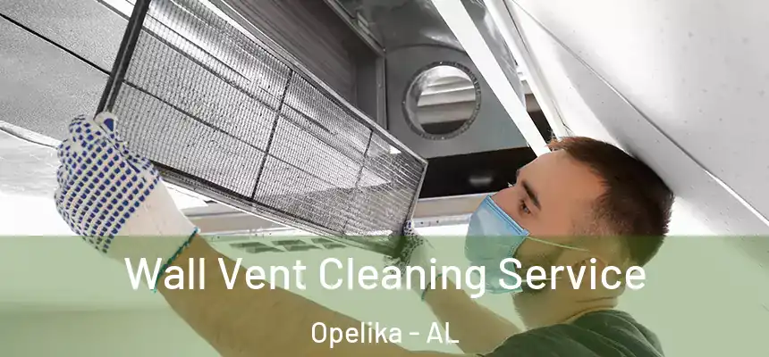 Wall Vent Cleaning Service Opelika - AL