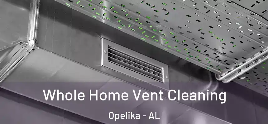  Whole Home Vent Cleaning Opelika - AL